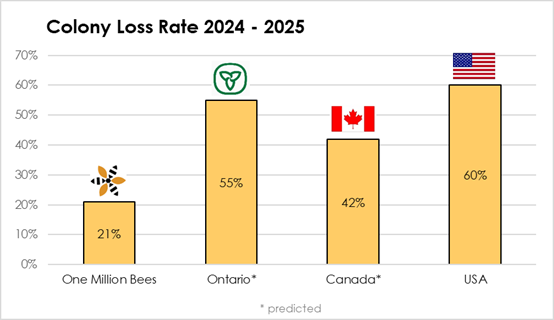 Spring Update 2025